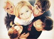 The Cardigans